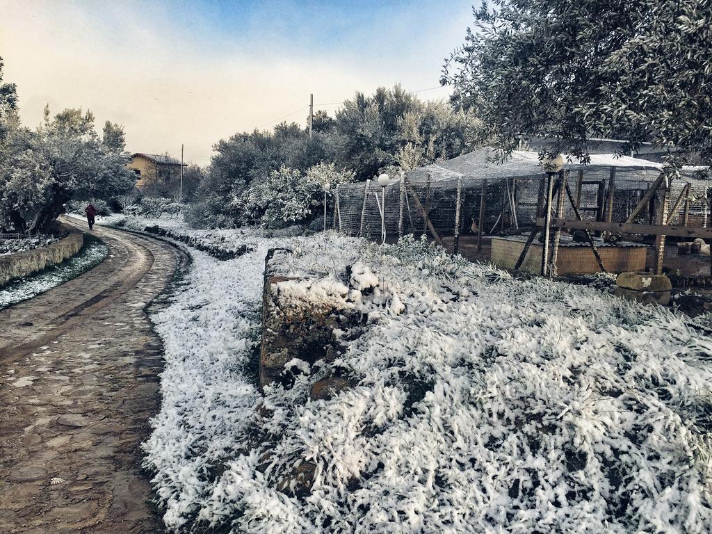Вилла Coscio Di Badia Naro Экстерьер фото